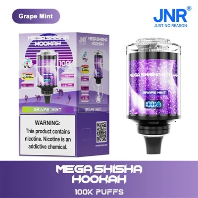 Jnr shisha hokah 100k puffs